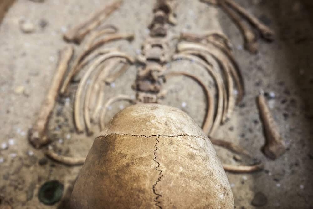 Reconstrution of roman burial, skull detail