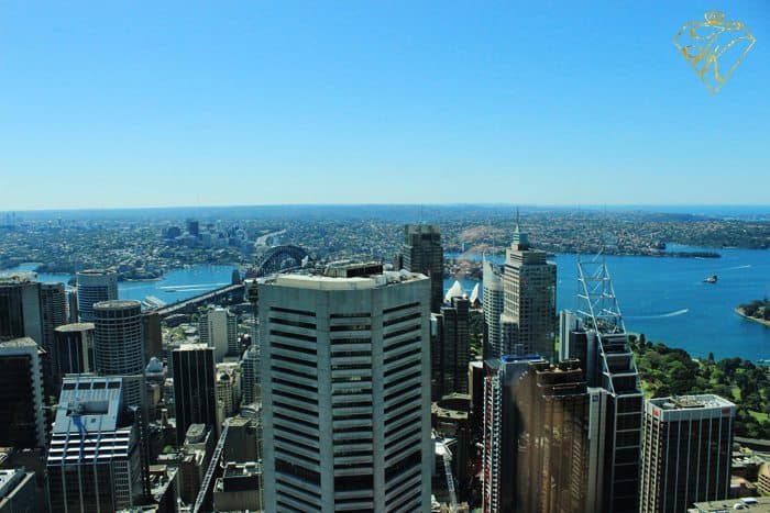 A View from up High at Sydney Tower Eye