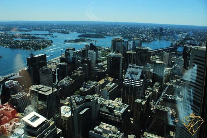 A View from up High at Sydney Tower Eye