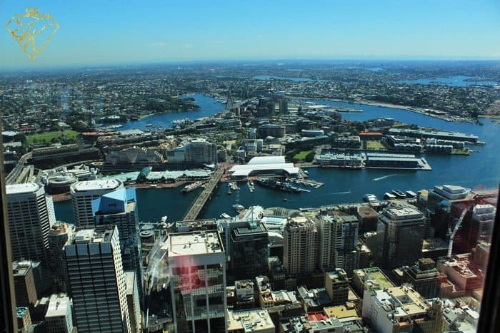 A View from up High at Sydney Tower Eye