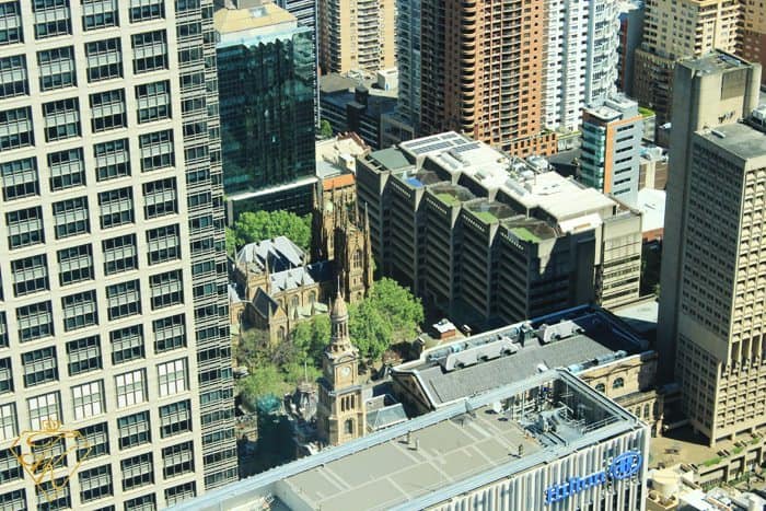 A View from up High at Sydney Tower Eye