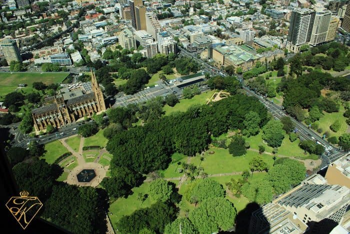 A View from up High at Sydney Tower Eye