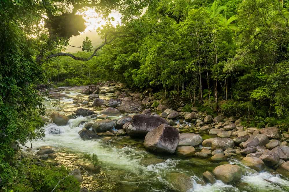 Mossman Gorge - river in Daintree National Park, north Queensland, Australia