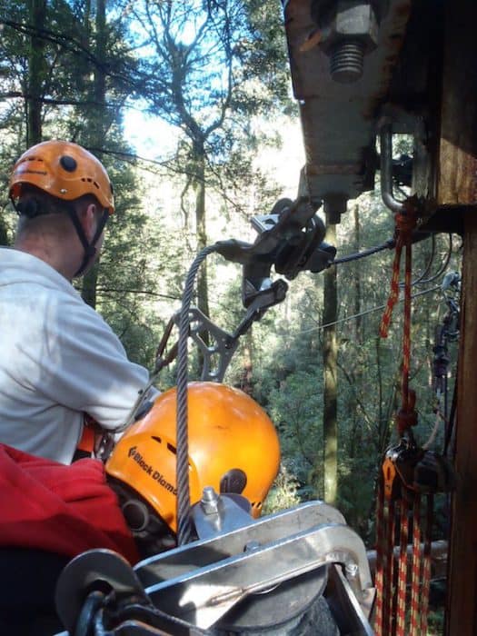 Otway Fly Zip Line Tour