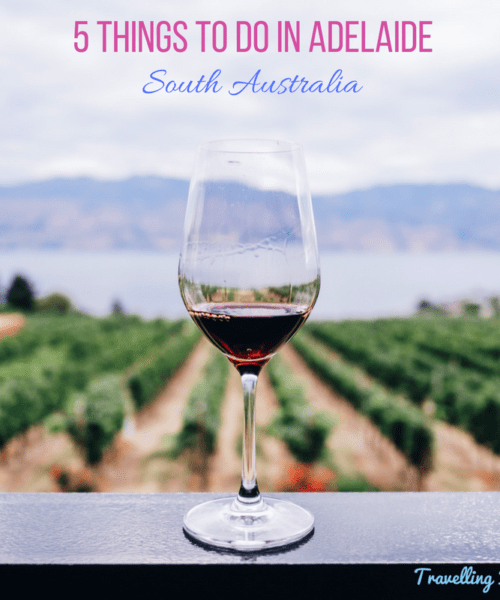 5 things to do in Adelaide - South Australia