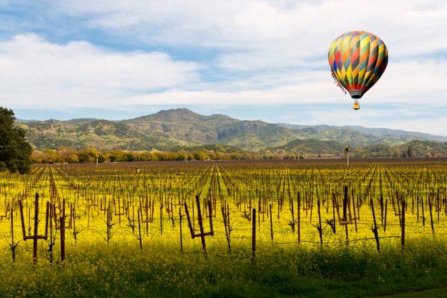 4 Small Wineries you MUST visit in Napa