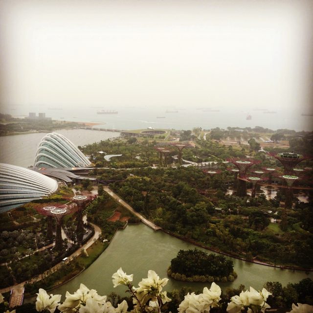 Singapore Marina Bay Sands View