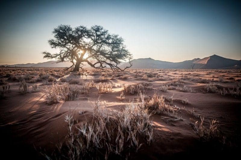 Southern Africa: Namibia
