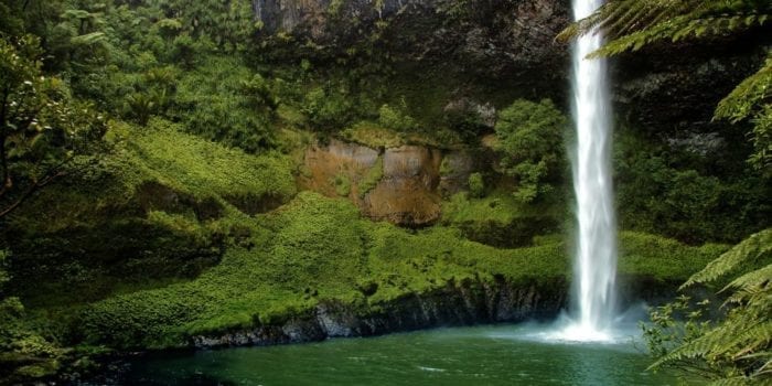 Waterfall New Zealand North Island