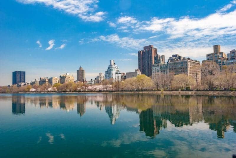 Don’t miss seeing Central Park when you are in New York City