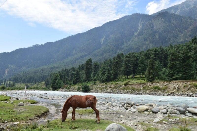 Budget Trip to Valley of Kashmir, India