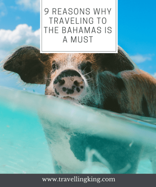 9 Reasons Why Traveling to the Bahamas is a Must. The Bahamas is especially good at luring in millions of tourists with its white-washed shores, crystal clear waters, and countless activities that involve fun in the sun.