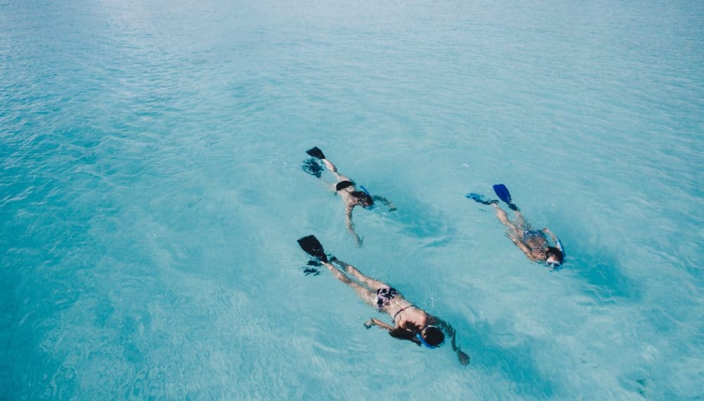 Snorkeling - Male - 10 Things to do in the Maldives