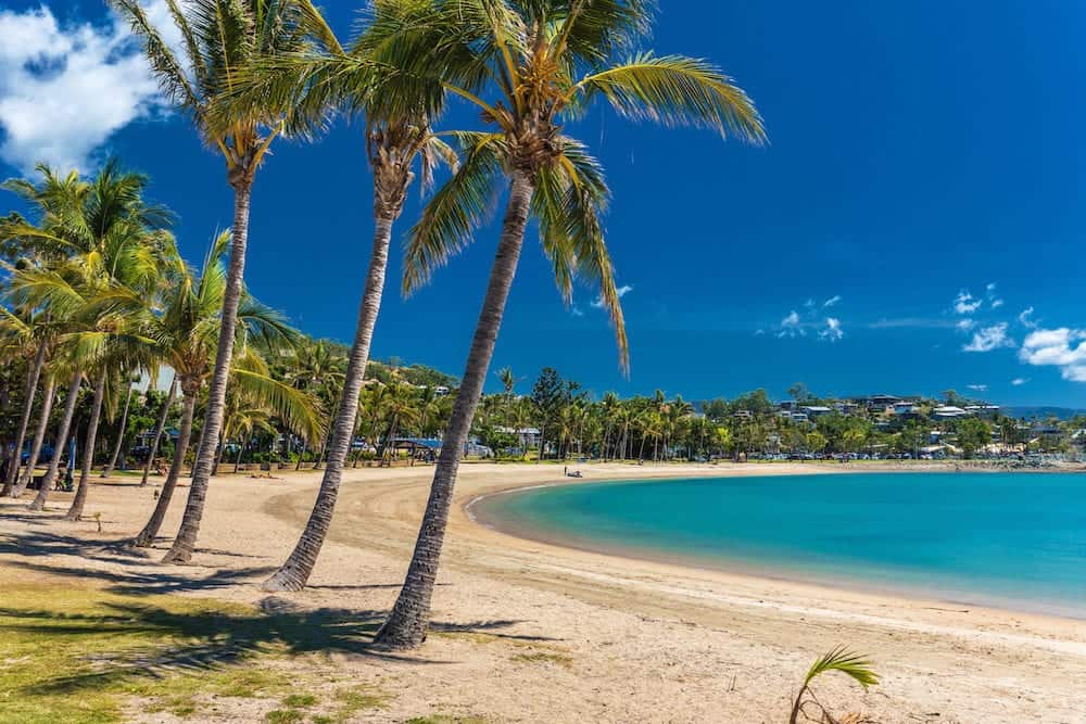 Sunny hot day on sandy beach with palm trees, Airlie Beach, Whitsundays, Queensland Australia