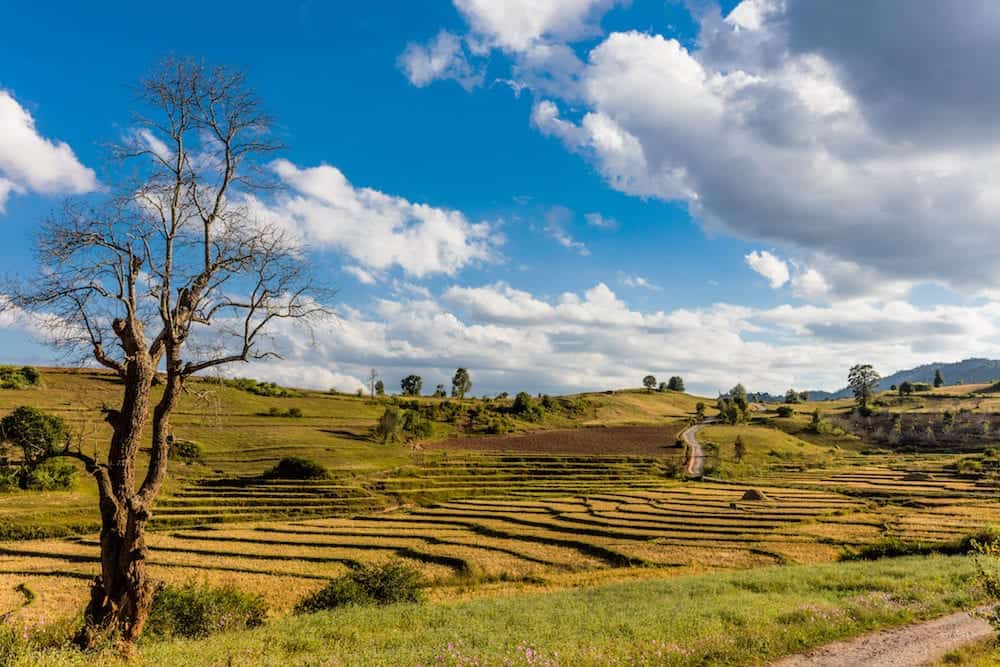 cultivated land fields landscaped near Kalaw Shan state in Myanmar (Burma)