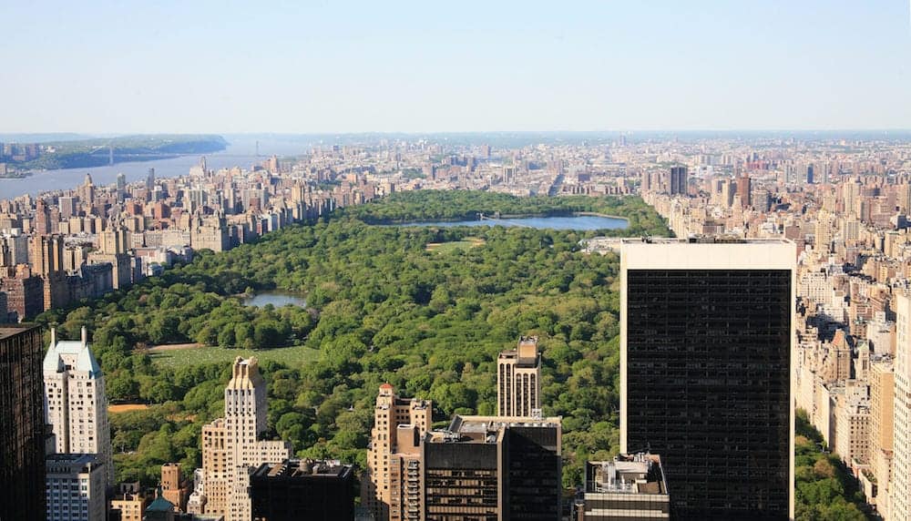 view in the central park in New York city