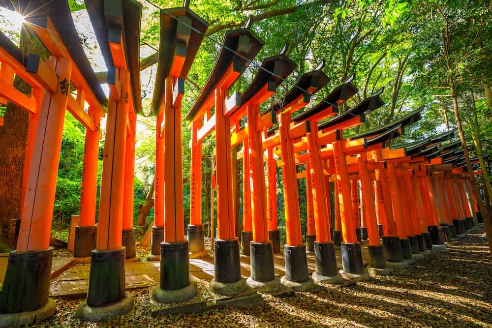 Kyoto, Japan - Red Torii gates at Fushimi Inari taisha lining the paths on the hill on which the shrine is located. Fushimi Inari is the most important shinto sanctuary.