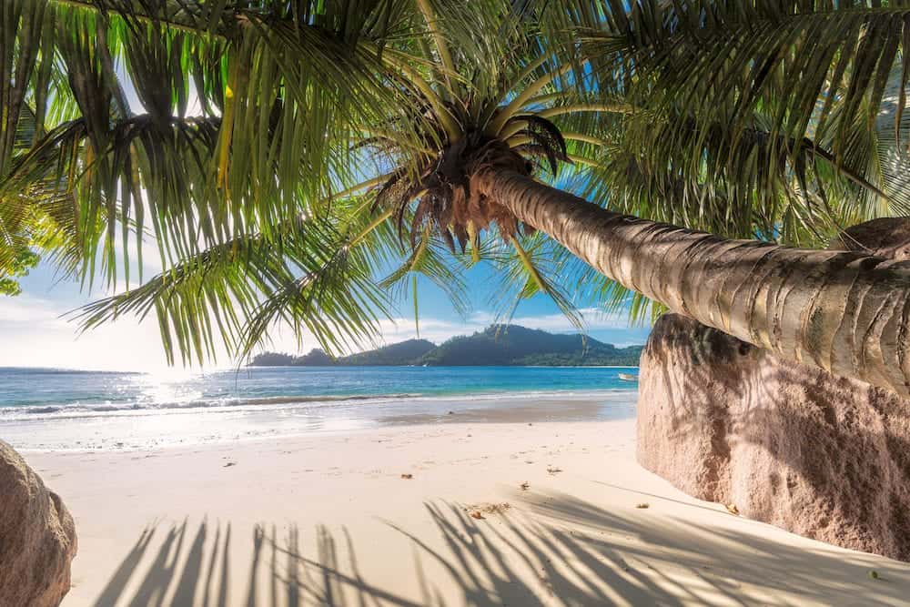 Beach on Seychelles. Anse Takamaka of Mahe island, Seychelles