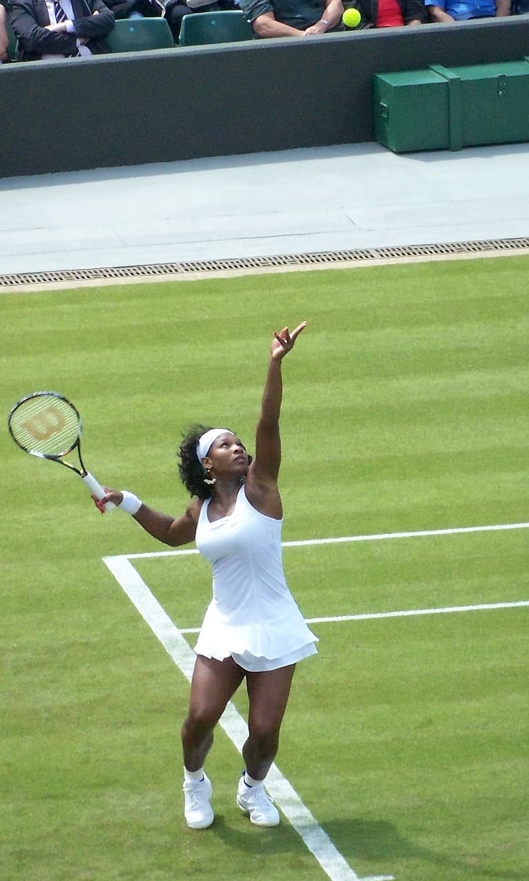 Last minute guide to the 2018 Wimbledon Championships