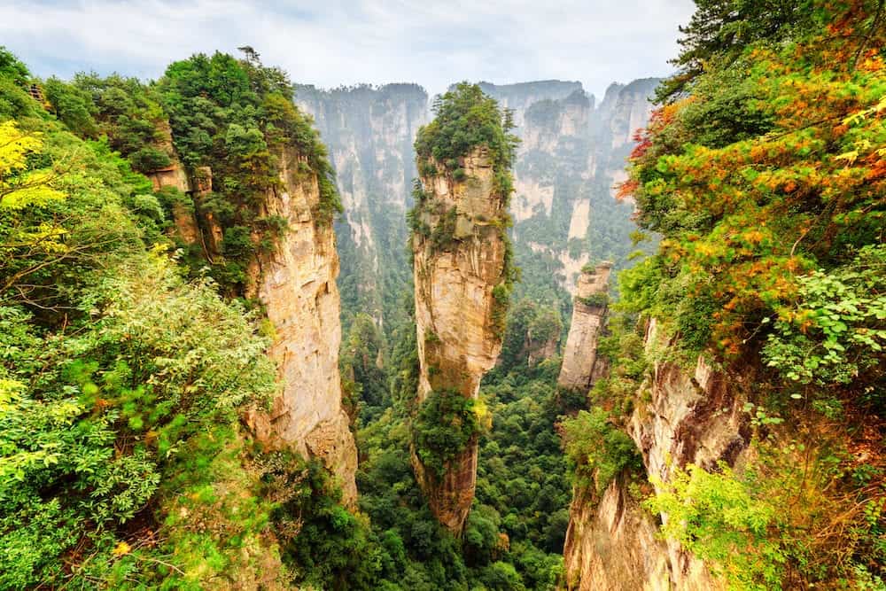 Amazing view of natural quartz sandstone pillar the Avatar Hallelujah Mountain among green woods and rocks in the Tianzi Mountains the Zhangjiajie National Forest Park Hunan Province China.