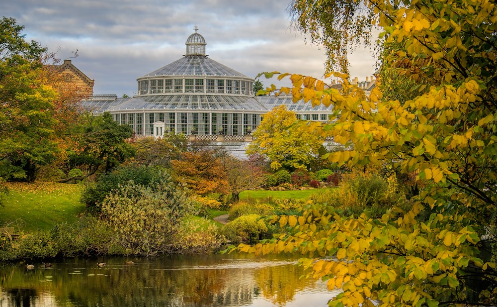 Botanical gardens with a lake during autumn in Copanhagen
