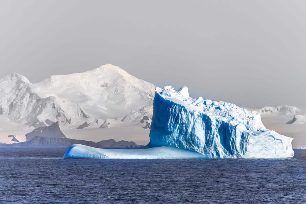 Three huge blue icebergs drifting across the sea at Lemaire Channel Antarctica