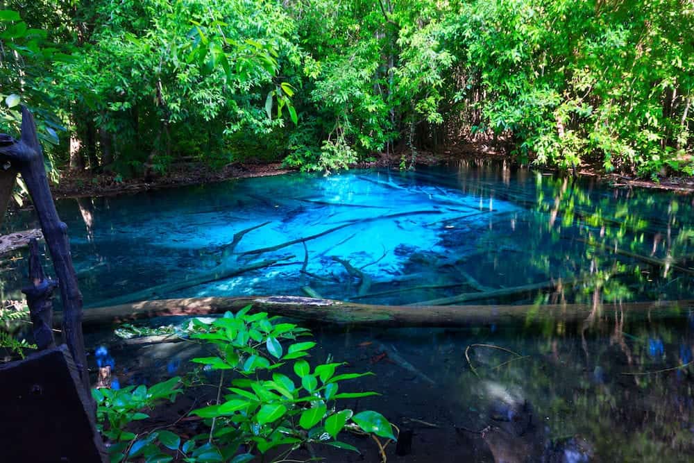 Beautiful Emerald pool in deep Forest at Krabi THAILAND