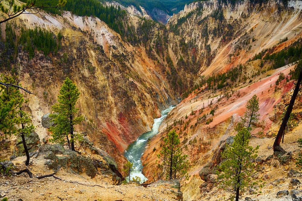 View at a vivid Grand Canyon of the Yellowstone and Yellowstone river seen from Artist Point. Yellowstone National Park, Wyoming, USA