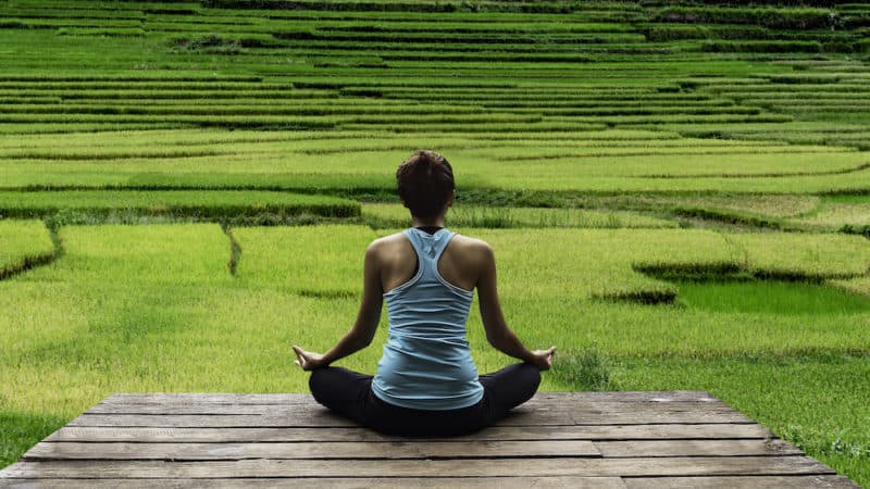 Young woman practicing yoga during luxury yoga retreat in Asia Bali meditation relaxation getting fit enlightening green grass jungle backgroundTerraced rice field in rice season in Vietnam