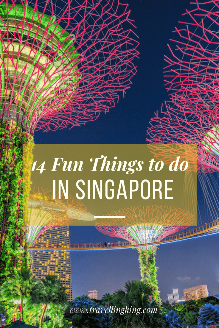 14 Fun Things to do in Singapore