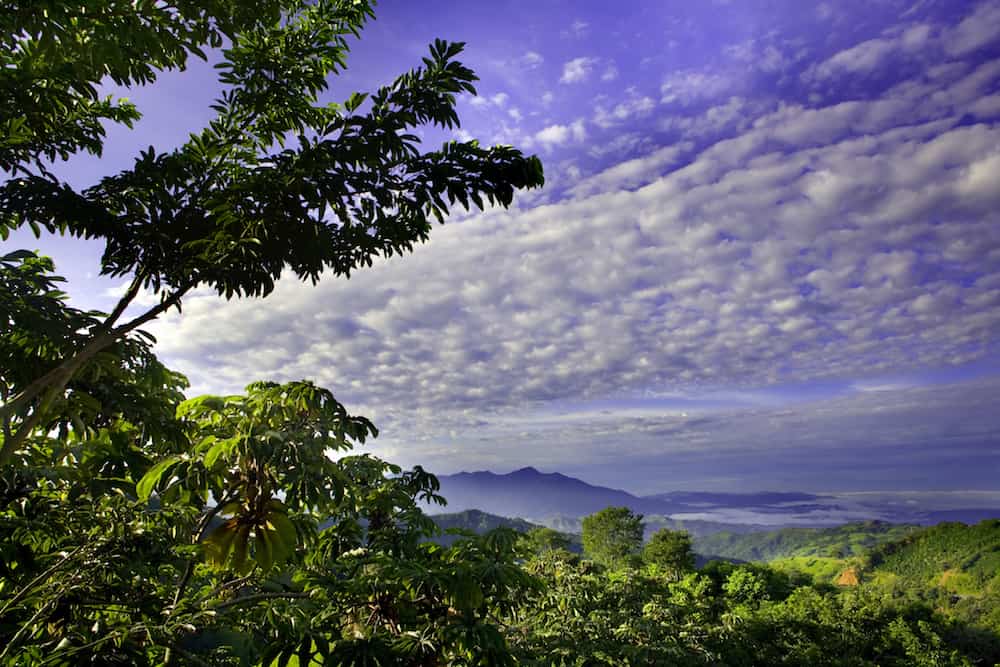 forest and a cloudy sky in central valley costa rica