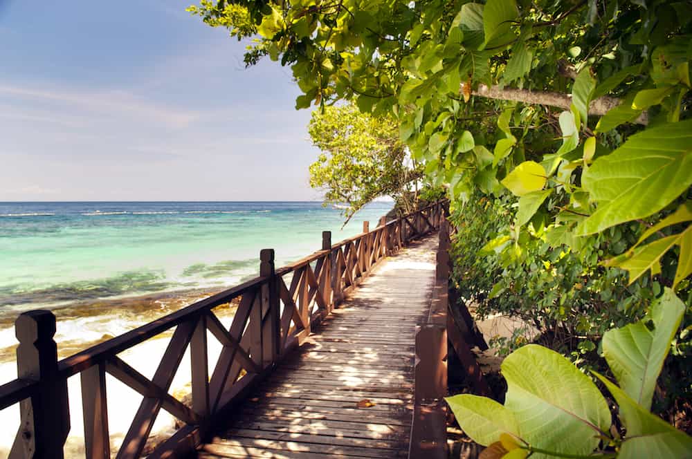 Walkway through beautiful trees on a tropical island