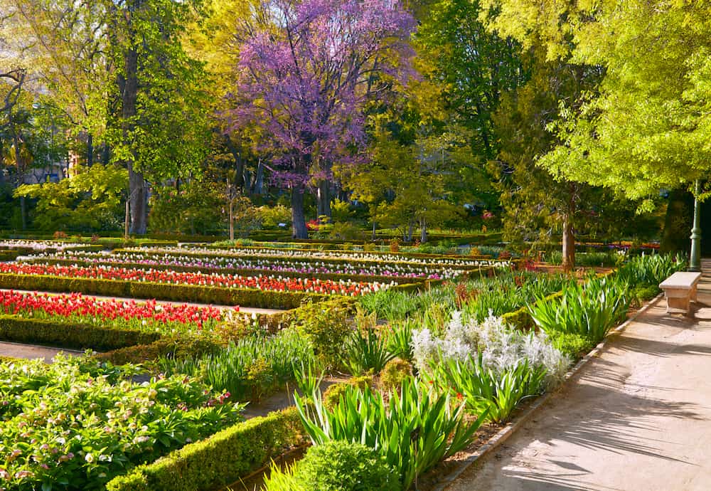 Madrid Botanic Garden - Real Jardin Botanico. Spring time