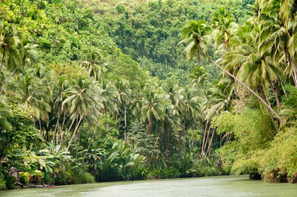 Tropical river, jungle on both shores