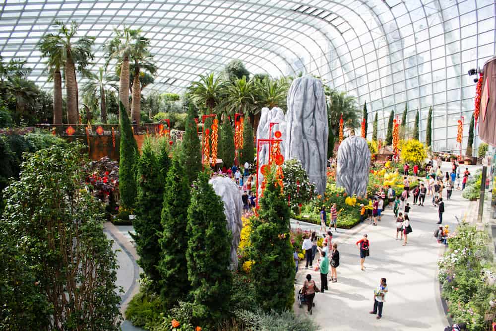 Singapore - Tourists are walking around in Singapore Botanical garden