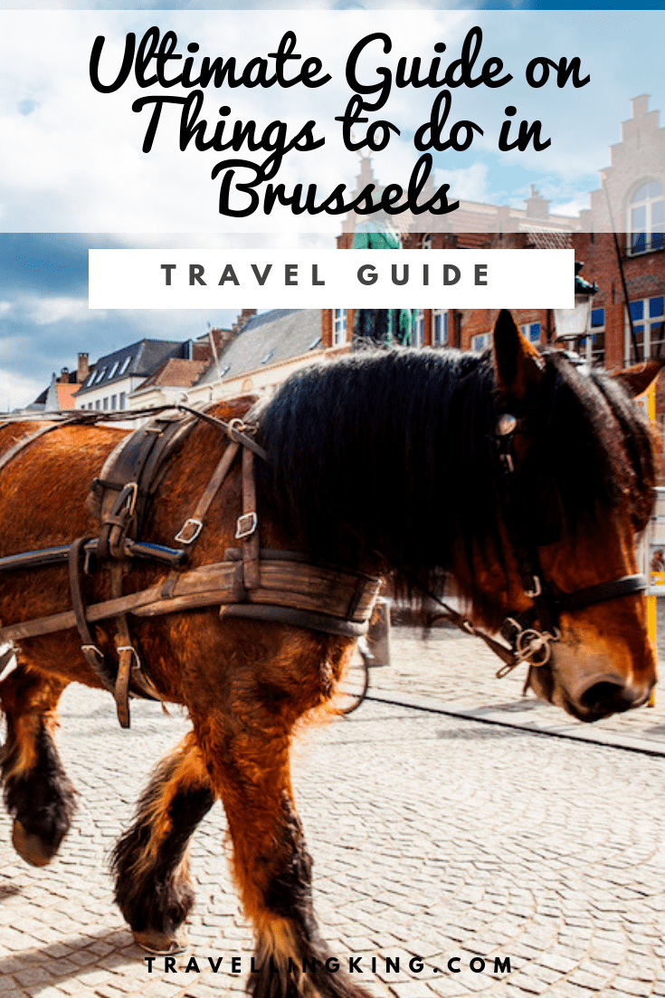 Ultimate Guide on Things to do in Brussels