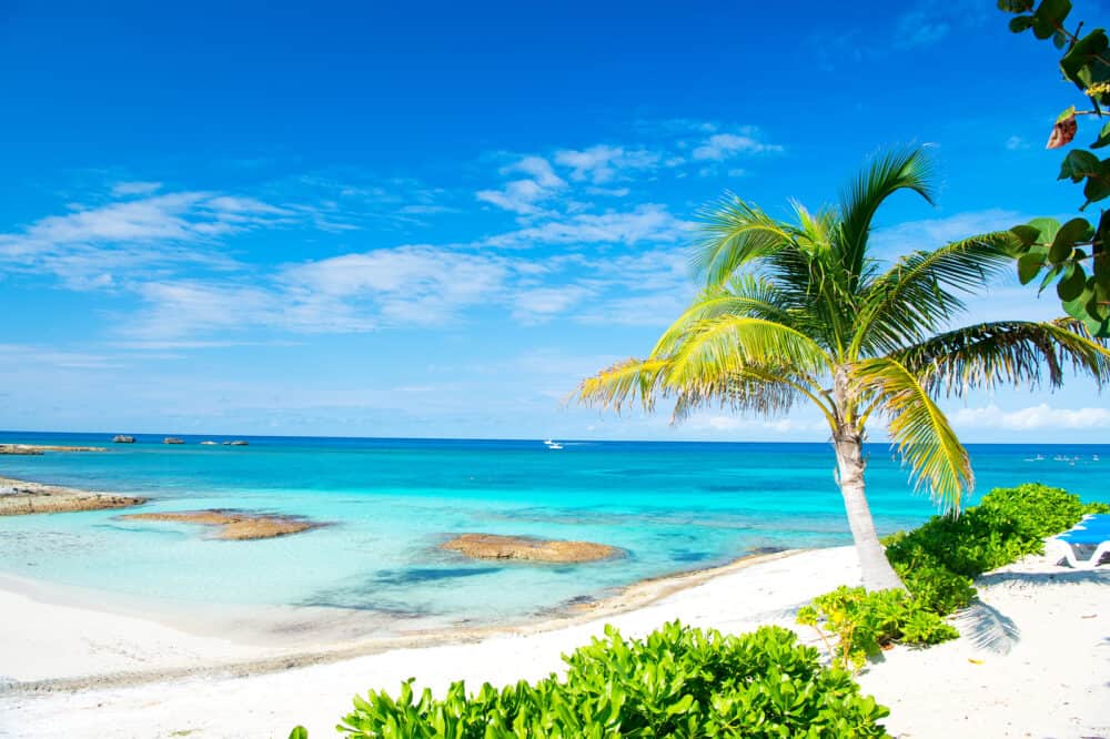 Palm tree, blue sea, sky in Great Stirrup Cay, Bahamas. Tropical beach with white sand and turquoise water. Summer vacation, recreation, relax. Paradise, peace, romance. Travel, traveling, wanderlust