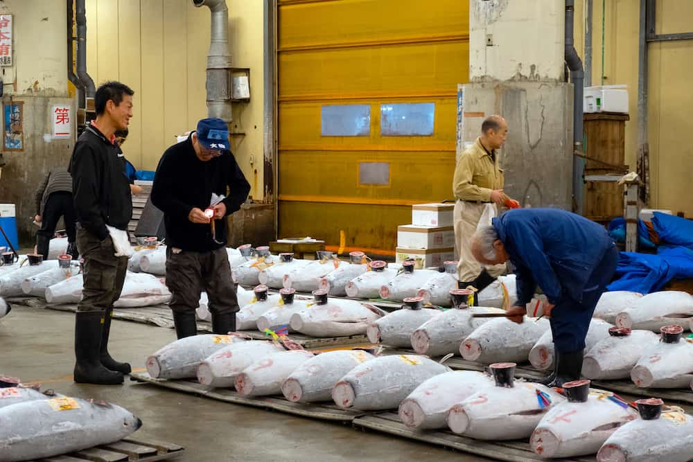 TOKYO, JAPAN -The auction at the inner area of Tsukiji Market and move to Toyosu where it will be reopened as Toyosu Market on October 11