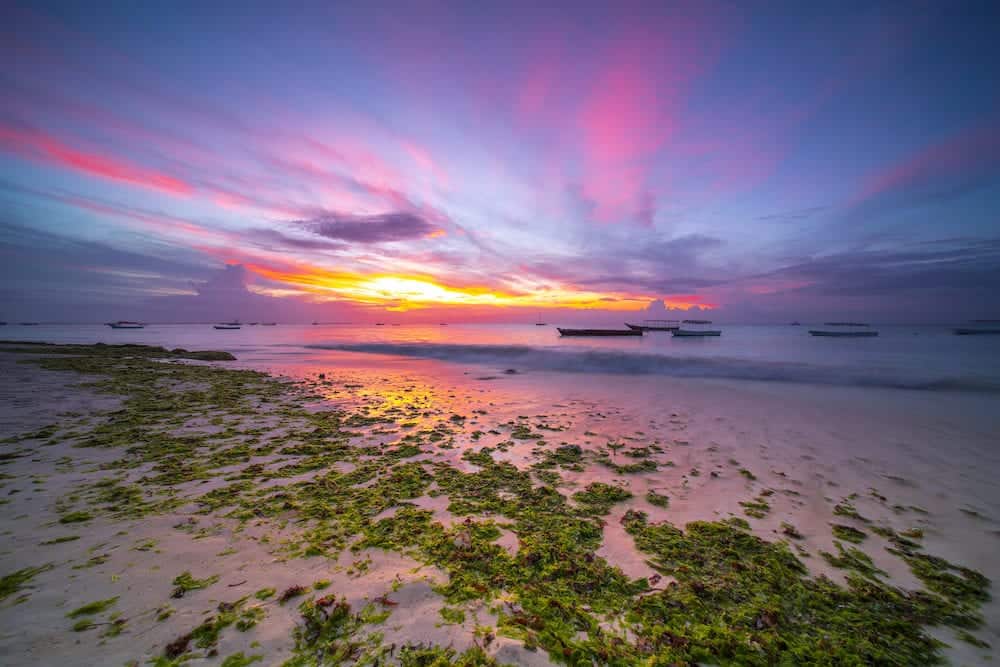 Landscape of paradise tropical island beach sunrise shot