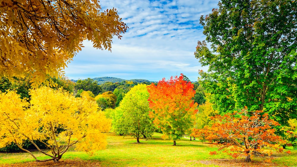 Where to stay in Adelaide [Best Places to Stay for 2024]