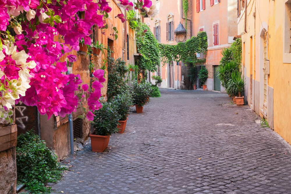 view of old town italian street in Trastevere with flowers, Rome, Italy