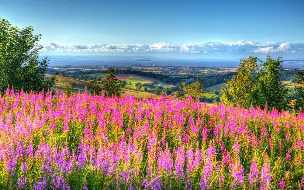 View from Quantock Hills Somerset England UK towards Hinkley Point Nuclear Power Station and the Bristol Channel on a summer evening in vivid colourful HDR like a painting