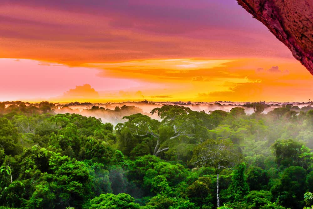 View onpPurple sunset over rainforest by Leticia in Colombia