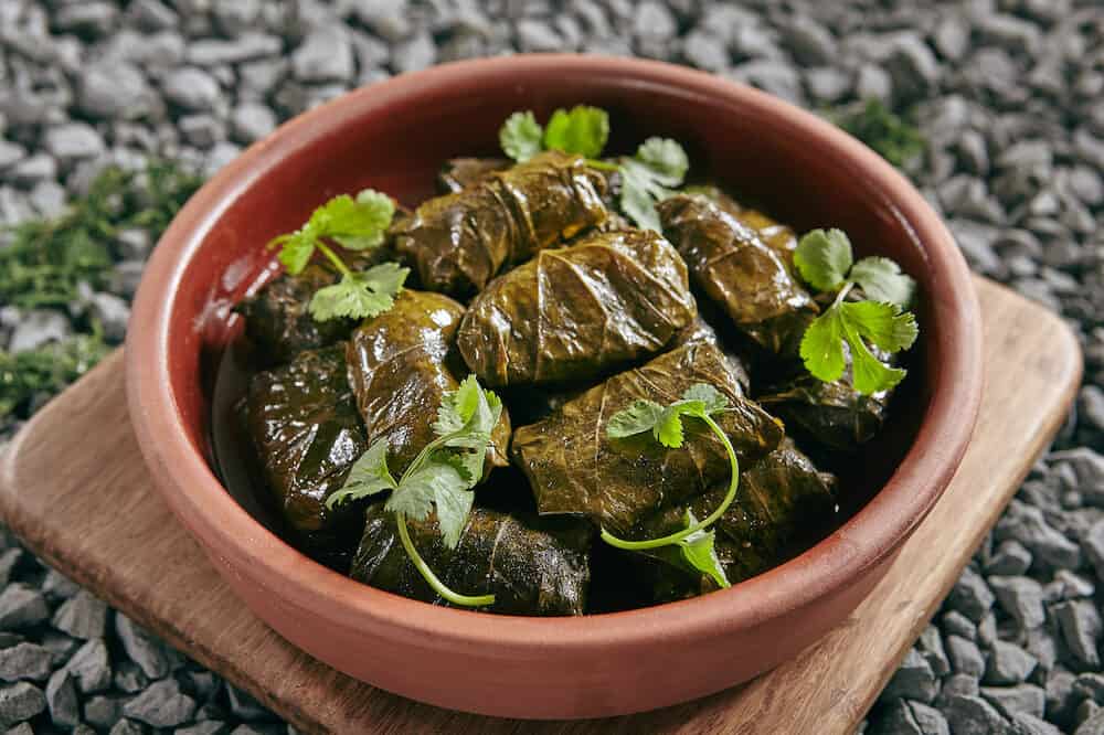 Dolma, Sarma or Dolmades Stuffed with Lamb and Rice Close Up with Selective Focus. Homemade Dolmades, Dolmadakia or Tolma with Mutton Meat and Marinated Vine Leaves