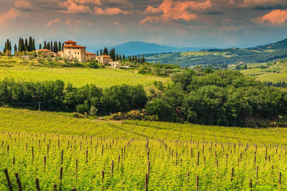 Typical Tuscany stone house with spectacular vineyard in Chianti region, Tuscany, Italy, Europe