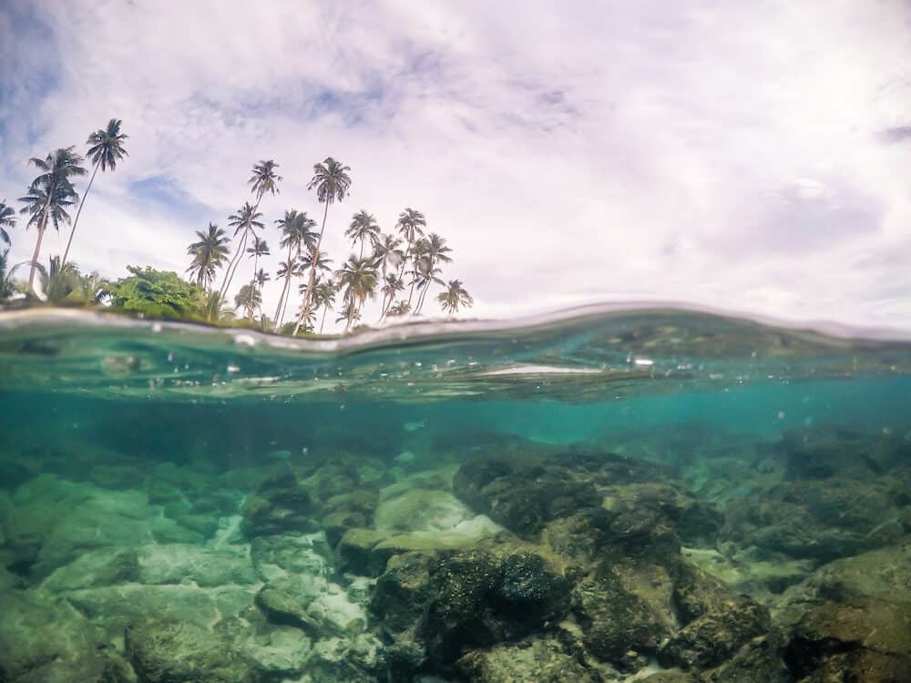 Split view cross section of sea water and palm trees in Samoa, South Pacific Island. Rocks and fish underwater in transparent clear water; cloudy sky above, photographed while snorkelling.