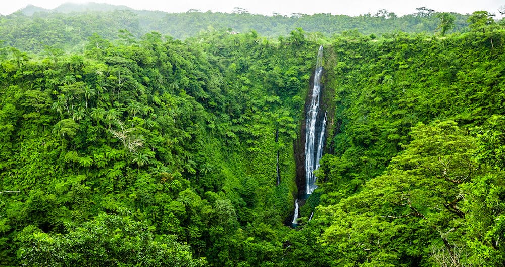 Vibrant tall Papapapaitai falls in the rain forest of Upolu island, Samoa