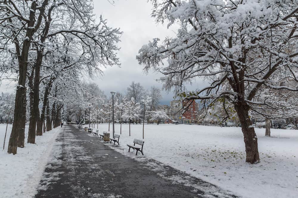Winter view with snow covered trees in South Park in city of Sofia, Bulgaria