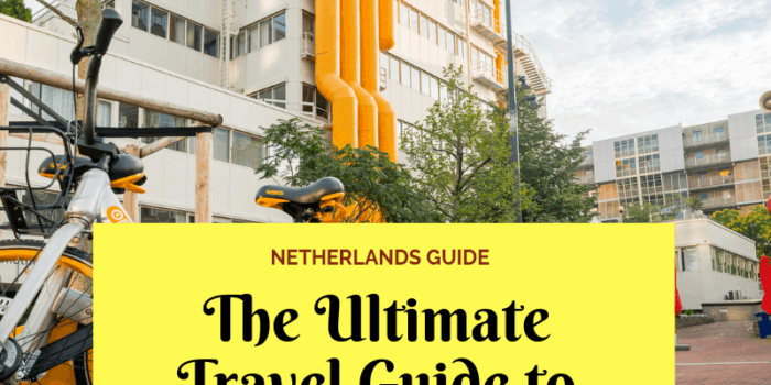The Ultimate Travel Guide to Rotterdam