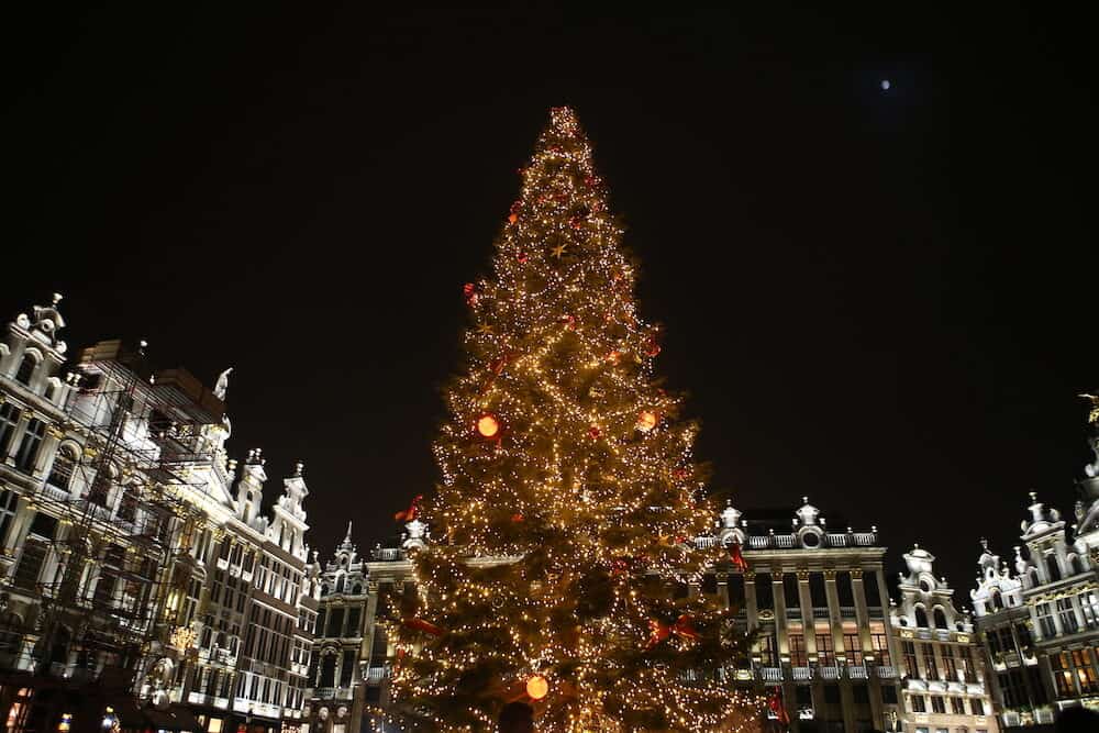 Christmas tree in Brussels. Christmas tree. Holiday